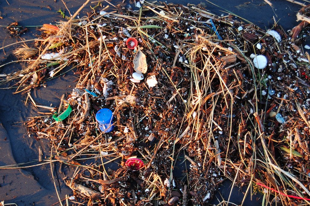 Bottle caps and small plastic pieces mixed into a line of dried seaweed and plant stems on dark beach sand.
