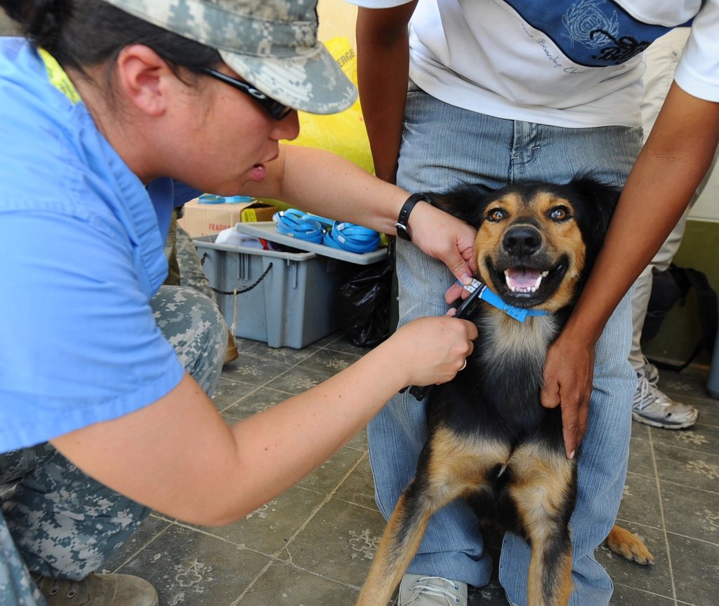A veterinarian in fatigues gives an injection to a brown and black dog held on a man's lap at an outdoor animal clinic
