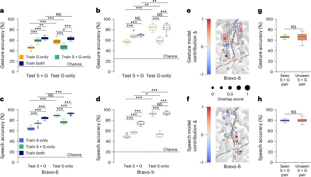 Eight-panel scientific figure. Box plots compare gesture and speech decoding accuracy for two participants under different training sets, next to brain maps showing which electrodes each model relied on.