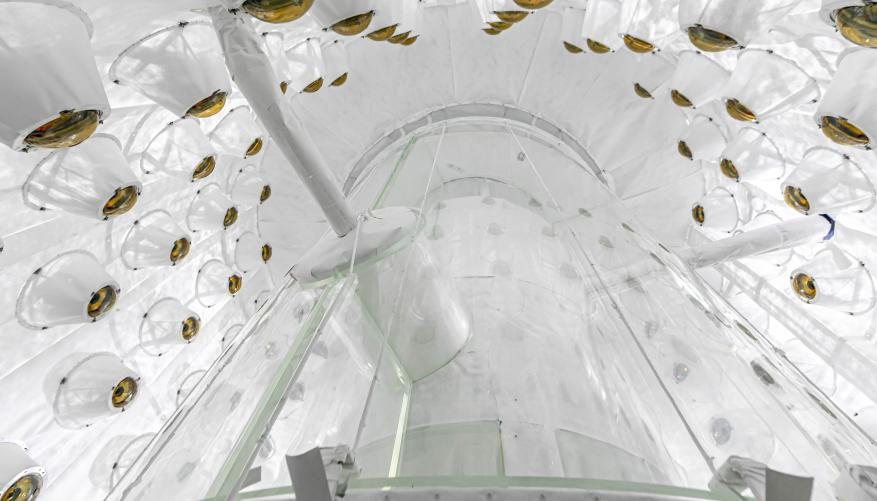 View looking upward inside the LZ Outer Detector: dozens of gold-faced photomultiplier tubes mounted on white reflective walls around a transparent acrylic vessel.