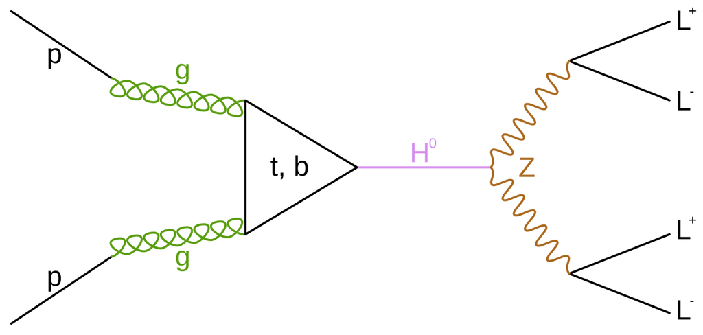 A Feynman diagram: two protons supply gluons that form a Higgs boson, which decays into two Z bosons, each decaying into a lepton and an antilepton.