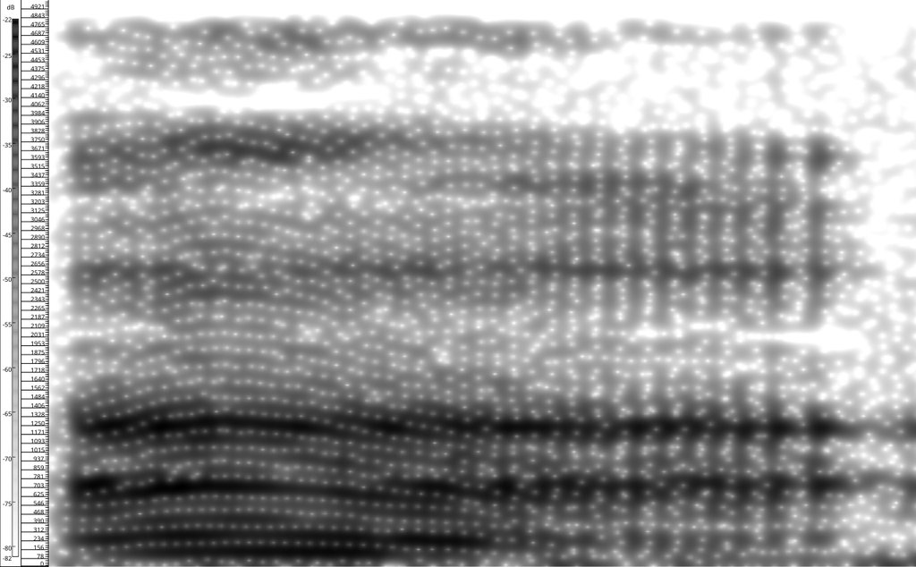 Grayscale wideband spectrogram of a spoken vowel, with a decibel and frequency scale down the left edge and dark horizontal resonance bands crossing the frame.