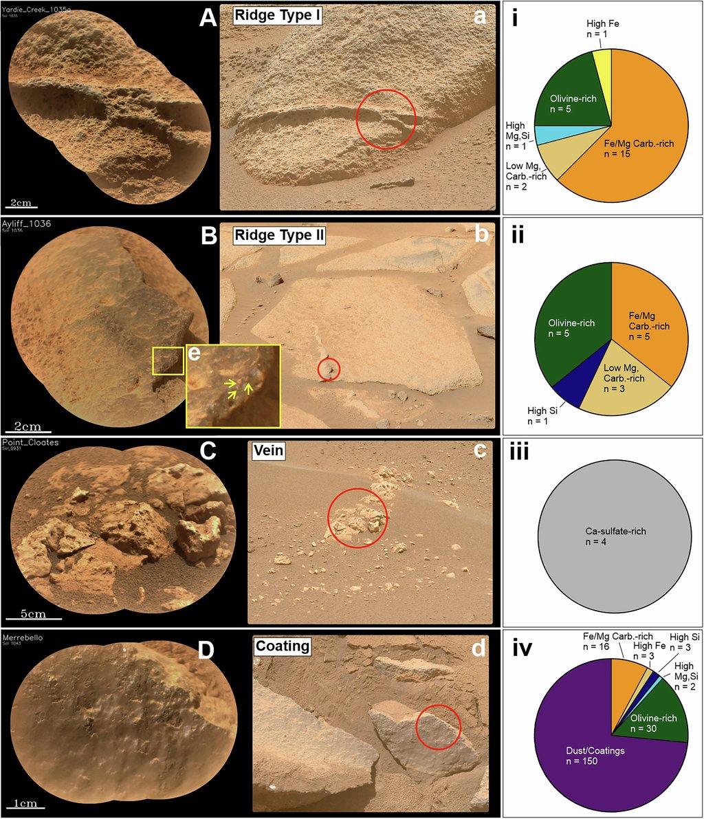 A four-row figure of close-up Martian rock images labeled Ridge Type I, Ridge Type II, Vein and Coating, each paired with a pie chart of measured rock compositions.
