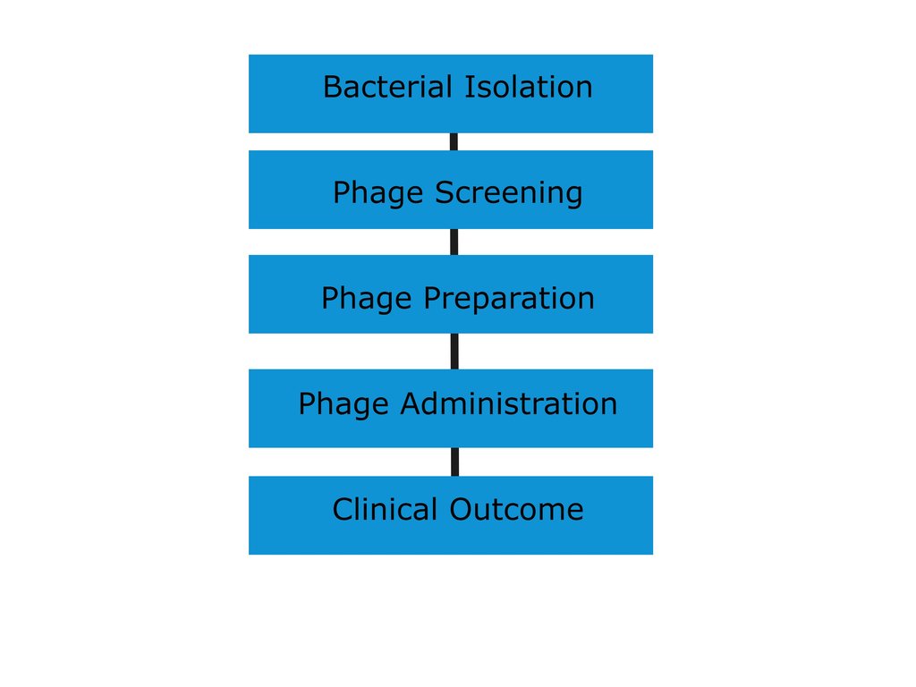Flowchart of five stacked blue boxes reading bacterial isolation, phage screening, phage preparation, phage administration and clinical outcome.