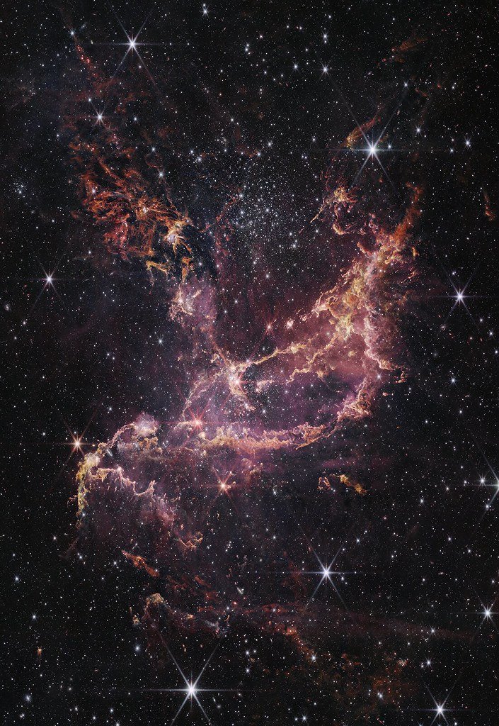A dusty pink and orange nebula crossed by arcs of gas and filled with bright stars, the region NGC 346 in infrared light.