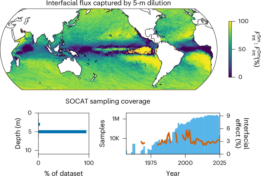 Map and charts showing how much of the rain dilution effect surface carbon dioxide observations capture, with a histogram showing that about 95 percent of measurements are taken at 5 meters depth.
