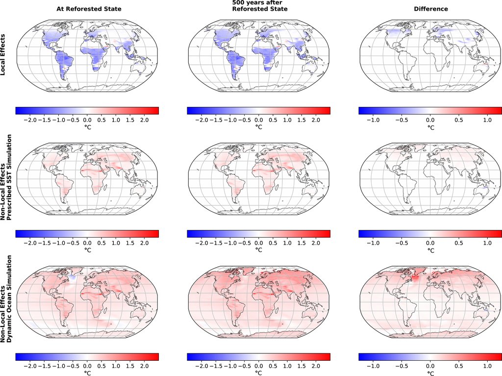 A grid of world maps comparing local and non-local temperature effects of reforestation when the forest is grown and 500 years later, for a fixed-sea-surface run and a dynamic ocean run.