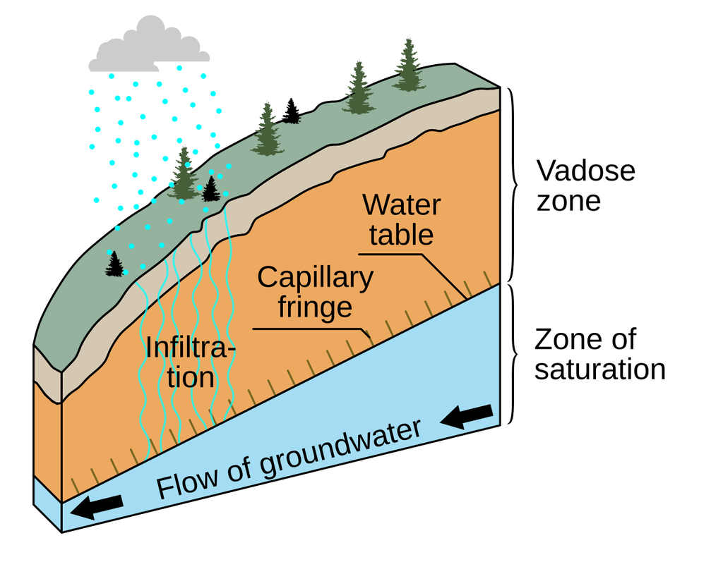 Labeled cutaway diagram of a hillside showing rainfall, infiltration, the vadose zone, the capillary fringe, the water table and the zone of saturation below it.