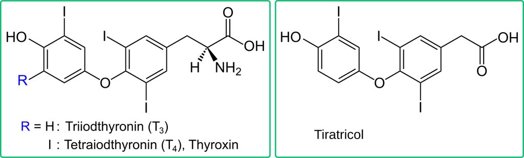 Two-panel chemical structure diagram: the thyroid hormones T3 and T4 on the left, tiratricol on the right, each built from two iodine-bearing rings joined by an oxygen atom.