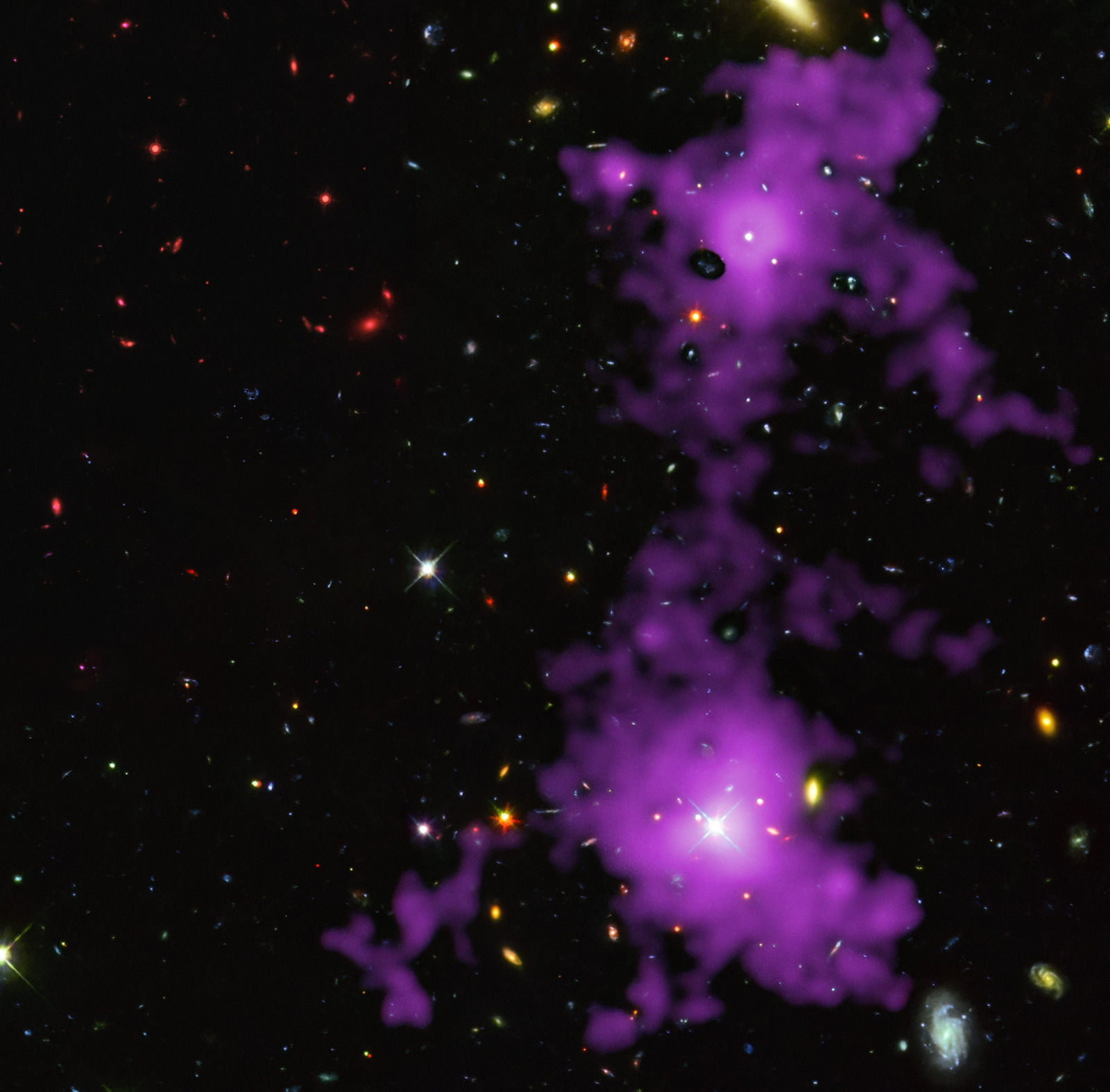 A magenta ribbon of glowing gas stretches between two bright galaxies across a dark field scattered with distant galaxies.
