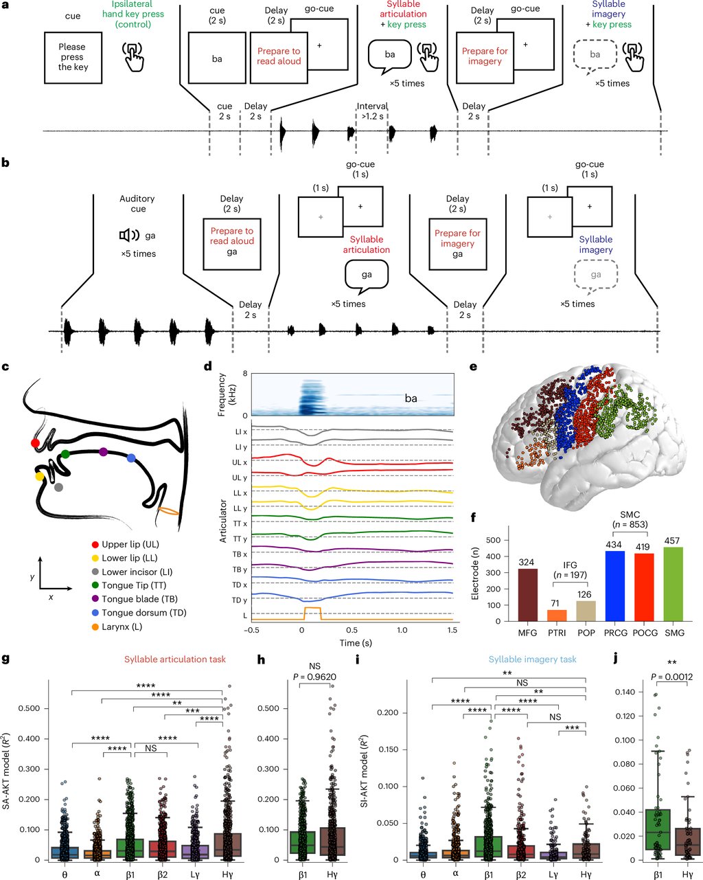Multi-panel research figure: the trial sequence for speaking and imagining a syllable, a diagram of the tongue, lip, jaw and larynx movements tracked, a template brain shaded by electrode coverage, and box plots of model performance by frequency band.