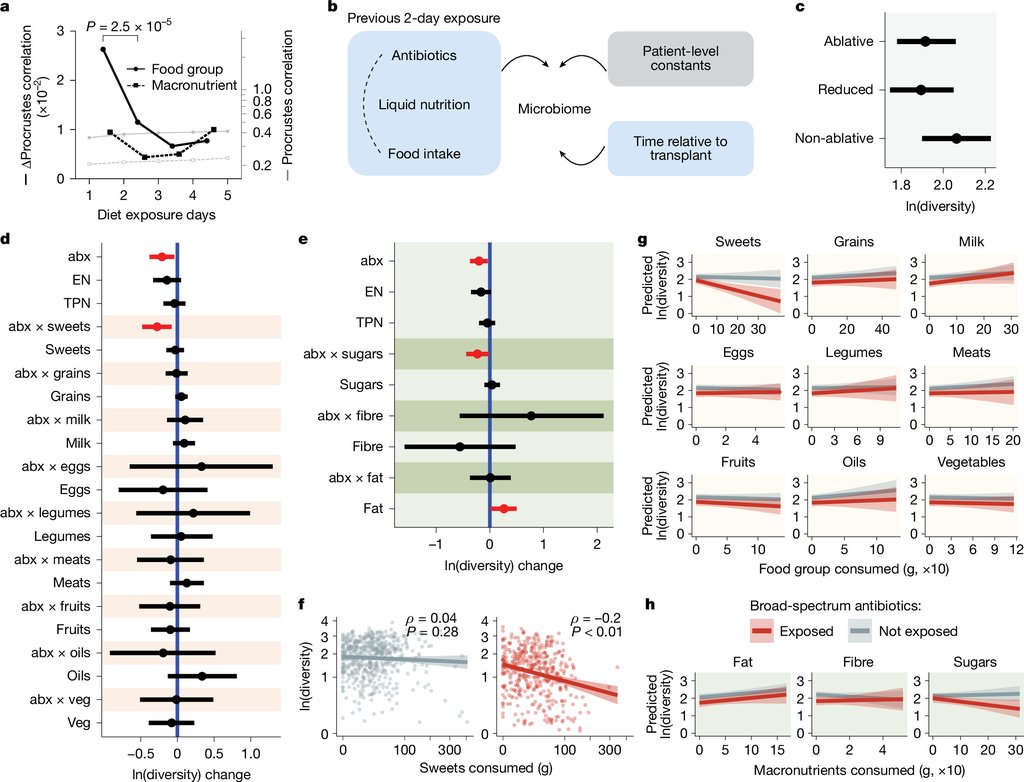 A multi-panel scientific figure showing the structure of the authors' Bayesian model and coefficient plots for food groups, antibiotics and their interaction with gut bacterial diversity.