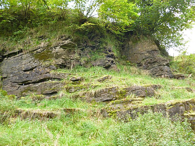 A grassy quarry face with layered dark rock exposed beneath trees and scrub.