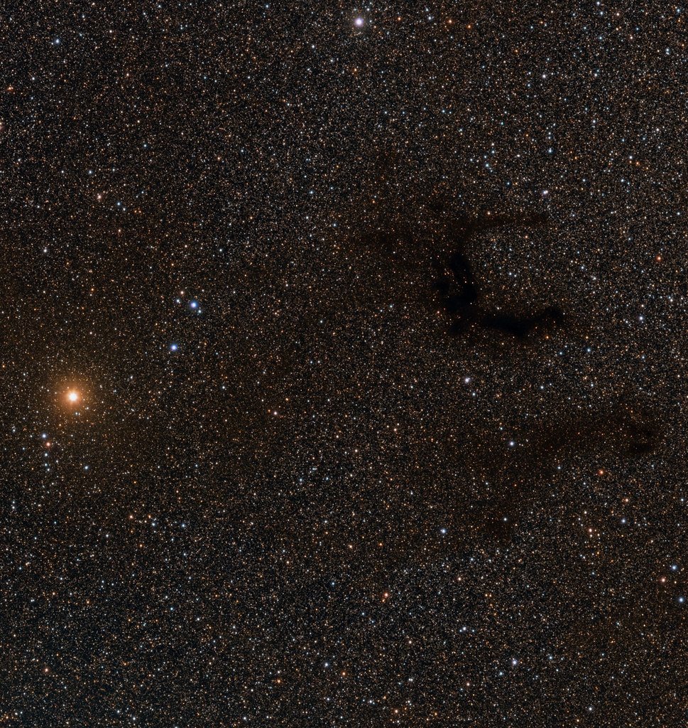 A dense field of stars crossed by a dark, branching lane of dust that blocks the starlight behind it.