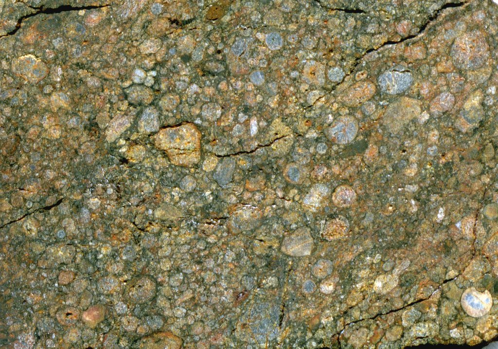 Cut face of a stony meteorite crowded with round, millimeter-scale grains in a green-brown matrix, crossed by thin fractures.