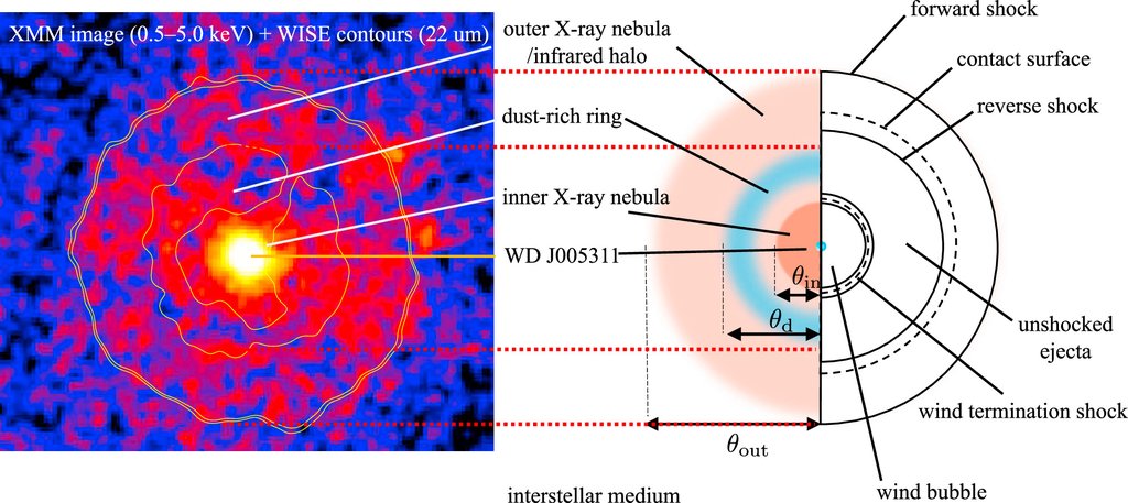 An X-ray image of a round nebula in false color with contour lines, beside a labeled cross section of the remnant showing its shells, dust ring and wind bubble.