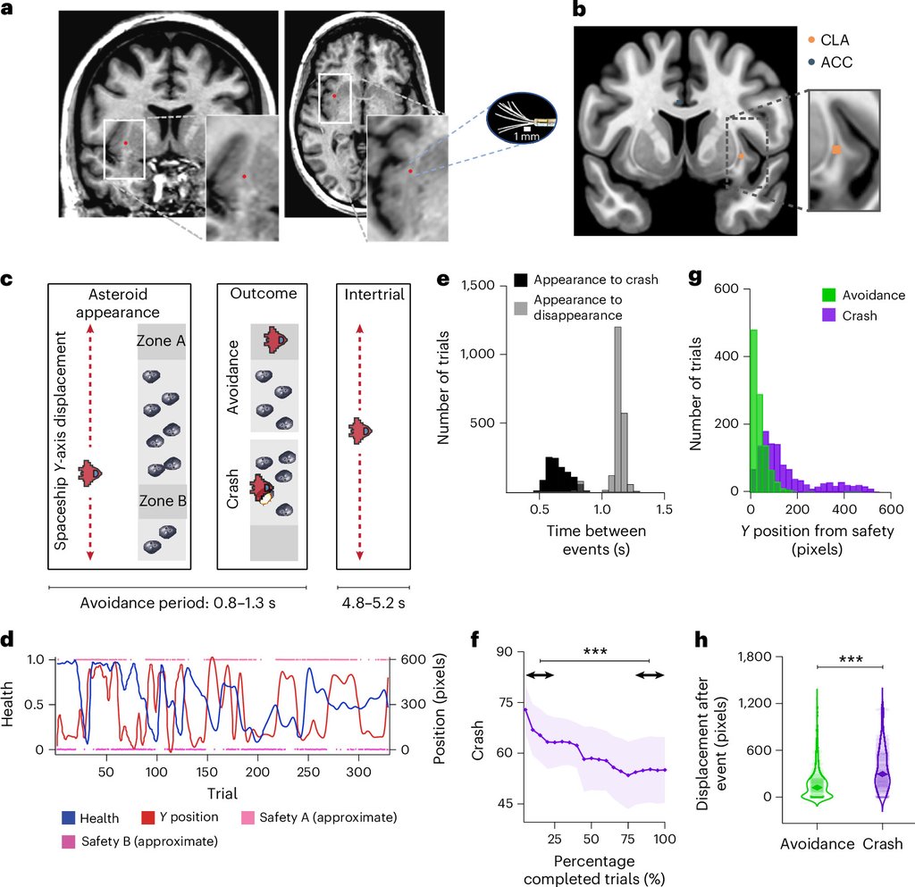 Research figure with brain scan panels marking microelectrode positions in the claustrum, and diagrams of the spaceship and asteroid avoidance task.
