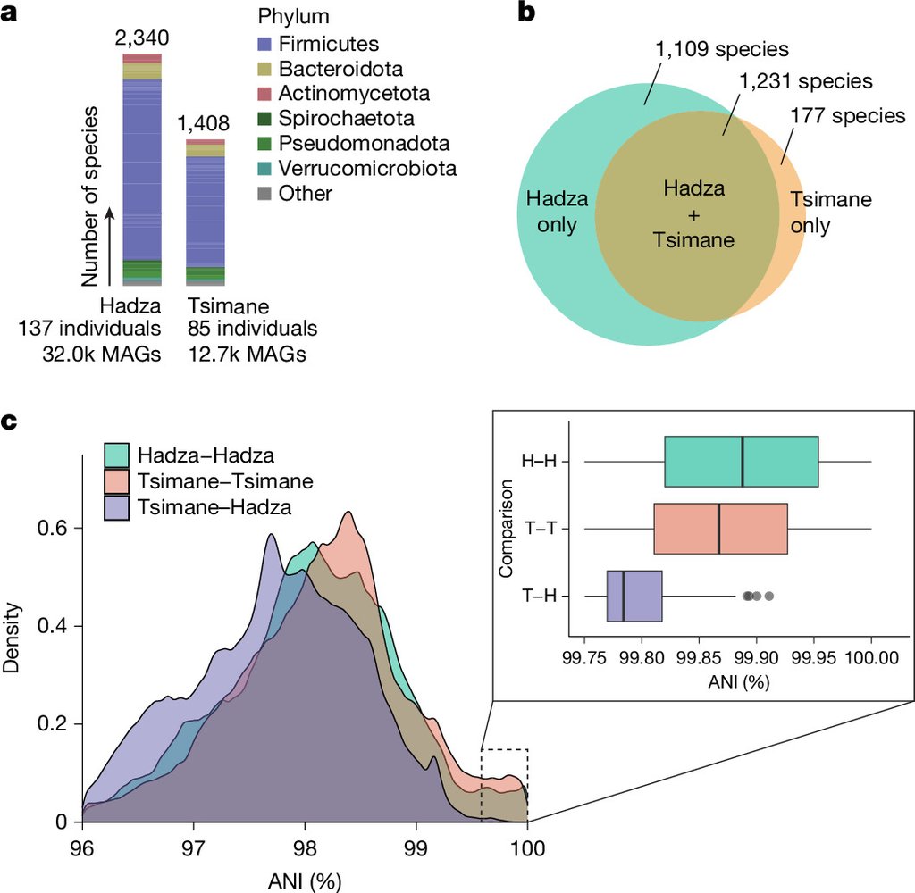Scientific figure with a taxonomy chart of microbial species, a comparison of species found in each population, and box plots of genome similarity.
