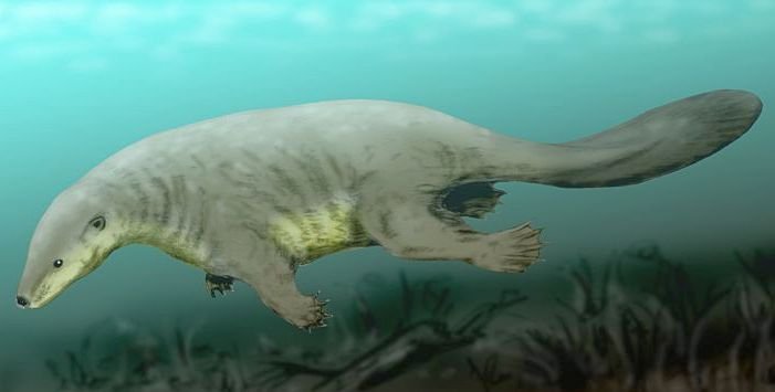 Painted reconstruction of a furry, otter-like animal with a broad flat tail and webbed feet swimming underwater.