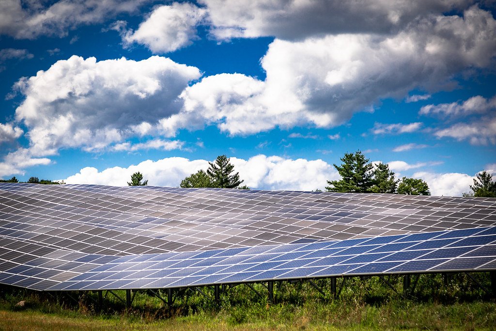 A long low row of solar panels in a field, with grass and weeds growing up to the lower edge of the modules.