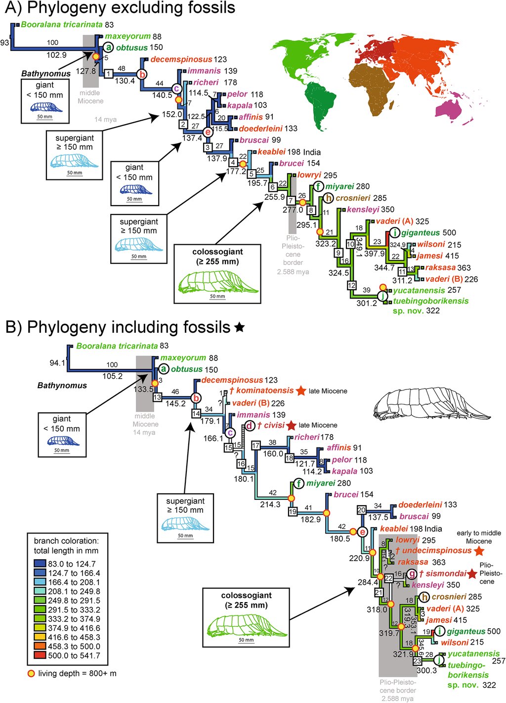 Two branching diagrams of giant isopod species, color coded by body length, with a world map and size category boxes alongside.