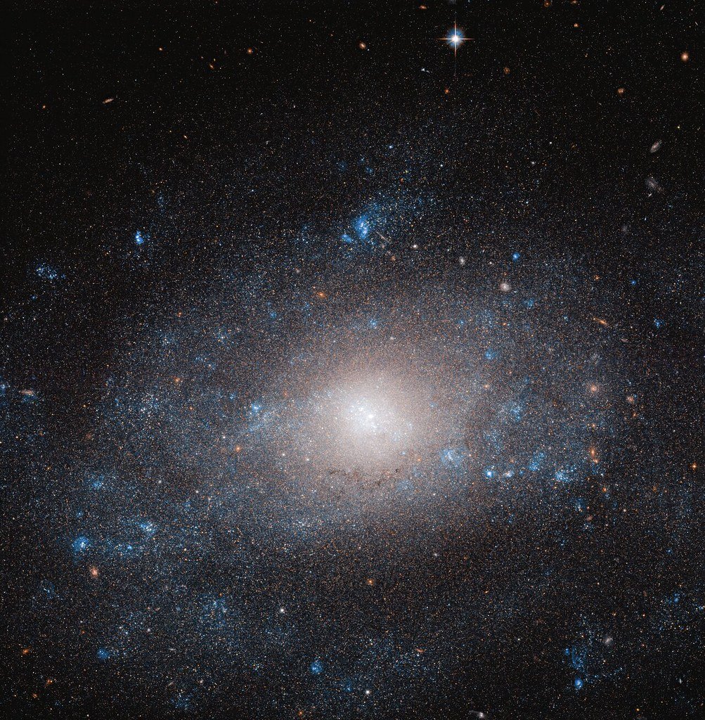Hubble image of the galaxy NGC 5585, a loose spiral whose diffuse disk resolves into dense fields of individual stars.