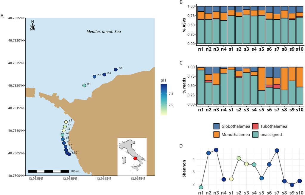 A four-panel figure: a map of Ischia marking sampling stations with their seawater pH, and three charts of foraminiferal classes and diversity along the gradient.