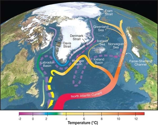 A map of the North Atlantic with colored arrows showing warm currents flowing north past Iceland and Norway and cold currents returning south along Greenland, with a temperature scale from minus 2 to 12 degrees Celsius.