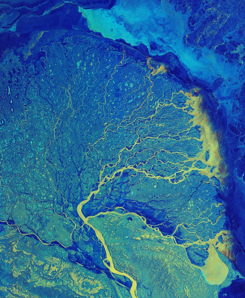 False-color radar satellite image of a river delta, its thousands of channels picked out in yellow against blue tundra and sea ice.