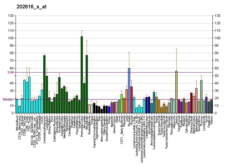 Bar chart of MECP2 microarray expression across dozens of human tissue samples, with brain tissues shown in dark green.