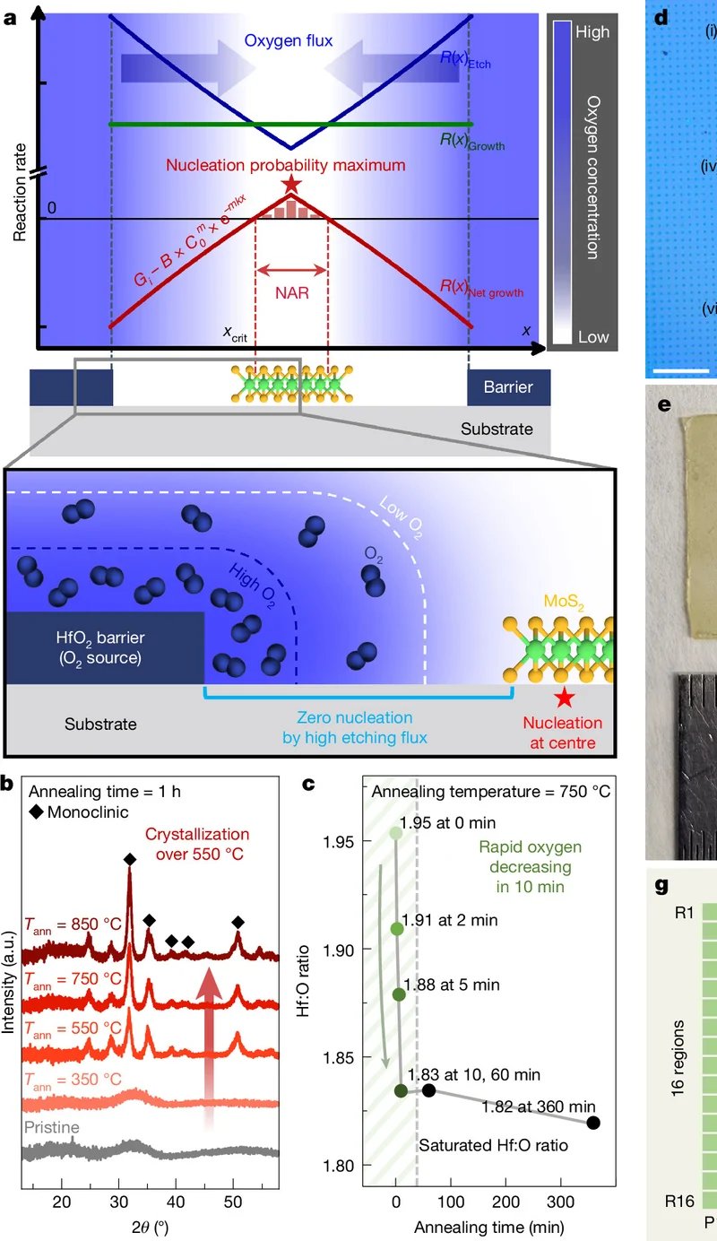 A diagram of a patterned growth region with oxygen spreading inward from the barrier, a reaction-rate plot above it, and X-ray measurements of the barrier material below.