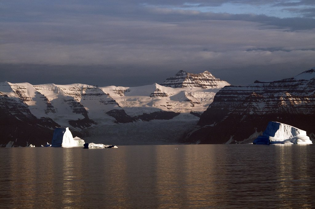 Icebergs on a fjord below glacier-covered mountains in low evening light.