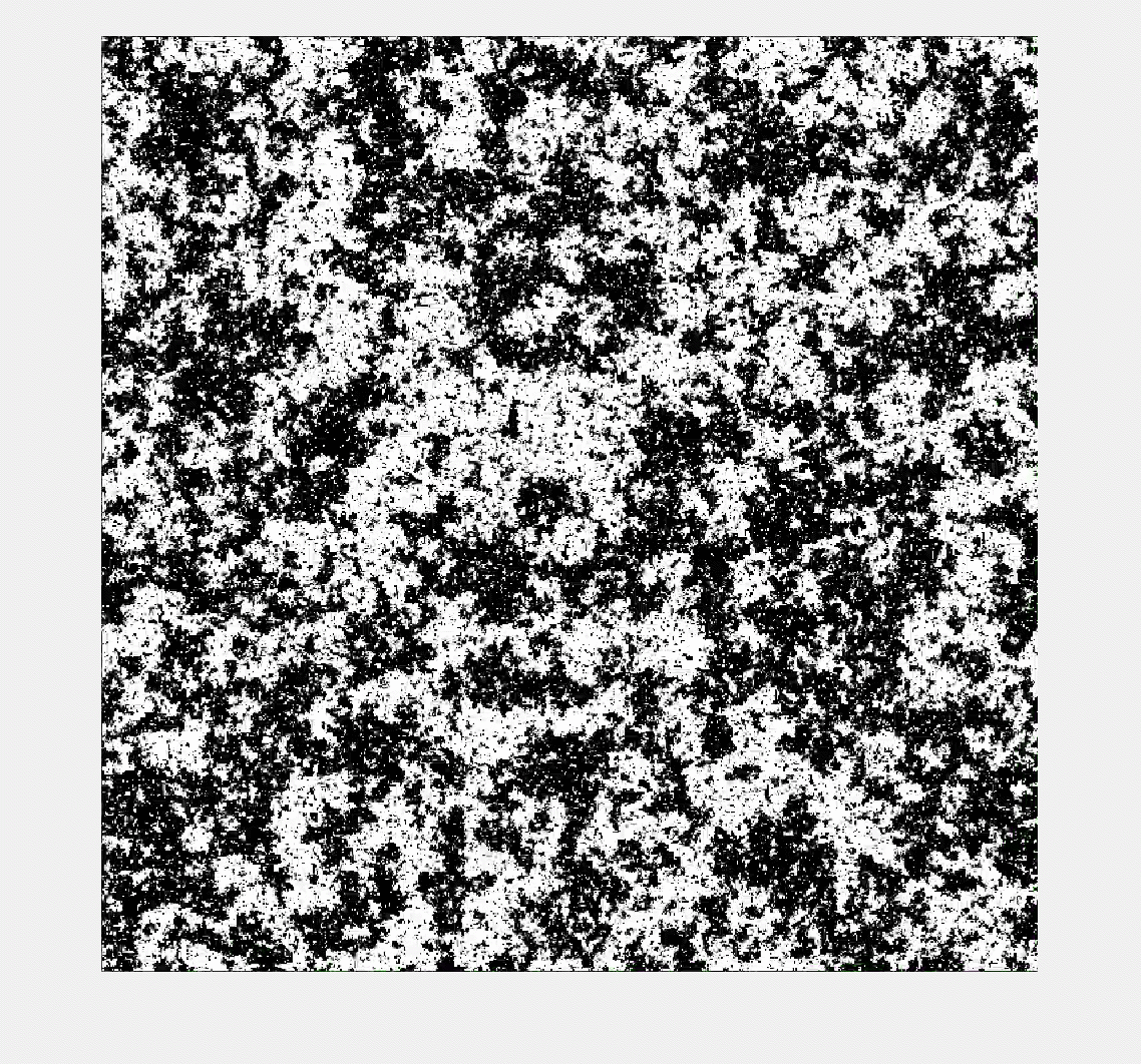 A square black and white pattern from an Ising model simulation, with clusters of both colors at many different sizes.