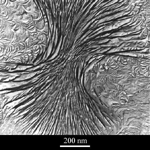 An electron micrograph of fanned, sheaf-like crystalline lamellae in a polyethylene blend, with a 200 nanometer scale bar.