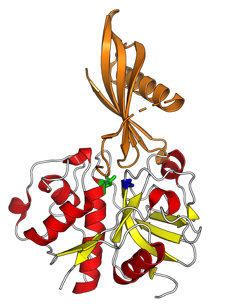Ribbon model of two proteins bound together, a compact red and yellow enzyme below and an orange partner wedged into its cleft from above.