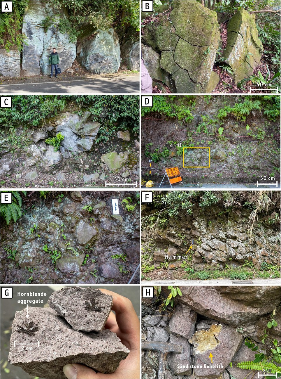 An eight panel plate of field photographs from the Shamao complex: jointed lava walls with a person for scale, a large polygonally jointed boulder, roadcut faces of coarse angular breccia with 50 centimeter scale bars and a rock hammer, a hand specimen with a dark hornblende cluster, and a sandstone block caught in the lava.