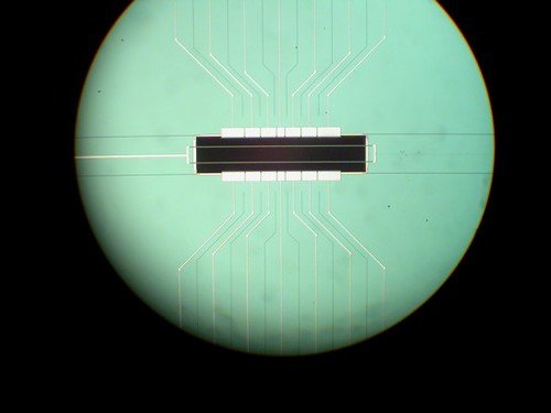 A microscope view of a small chip with a dark rectangular electrode region at center and thin metal leads fanning out toward the edges.