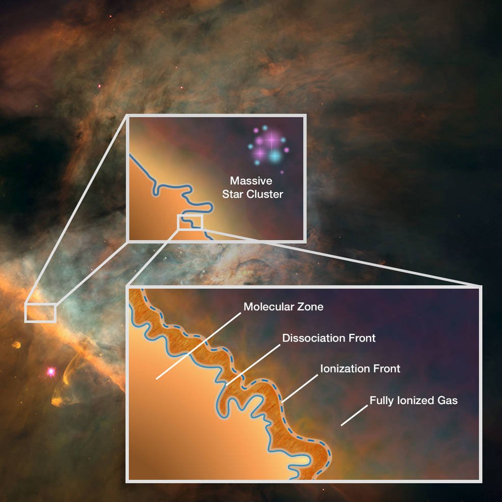 A labeled diagram over an image of the Orion Nebula, zooming in on a cloud edge and marking, from one side to the other, fully ionized gas, an ionization front, a dissociation front and a molecular zone, with a massive star cluster off to one side.