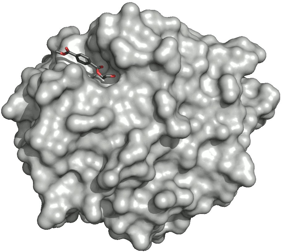 A gray computer model of the surface of the PETase enzyme, with a small substrate molecule bound in a groove near the top.
