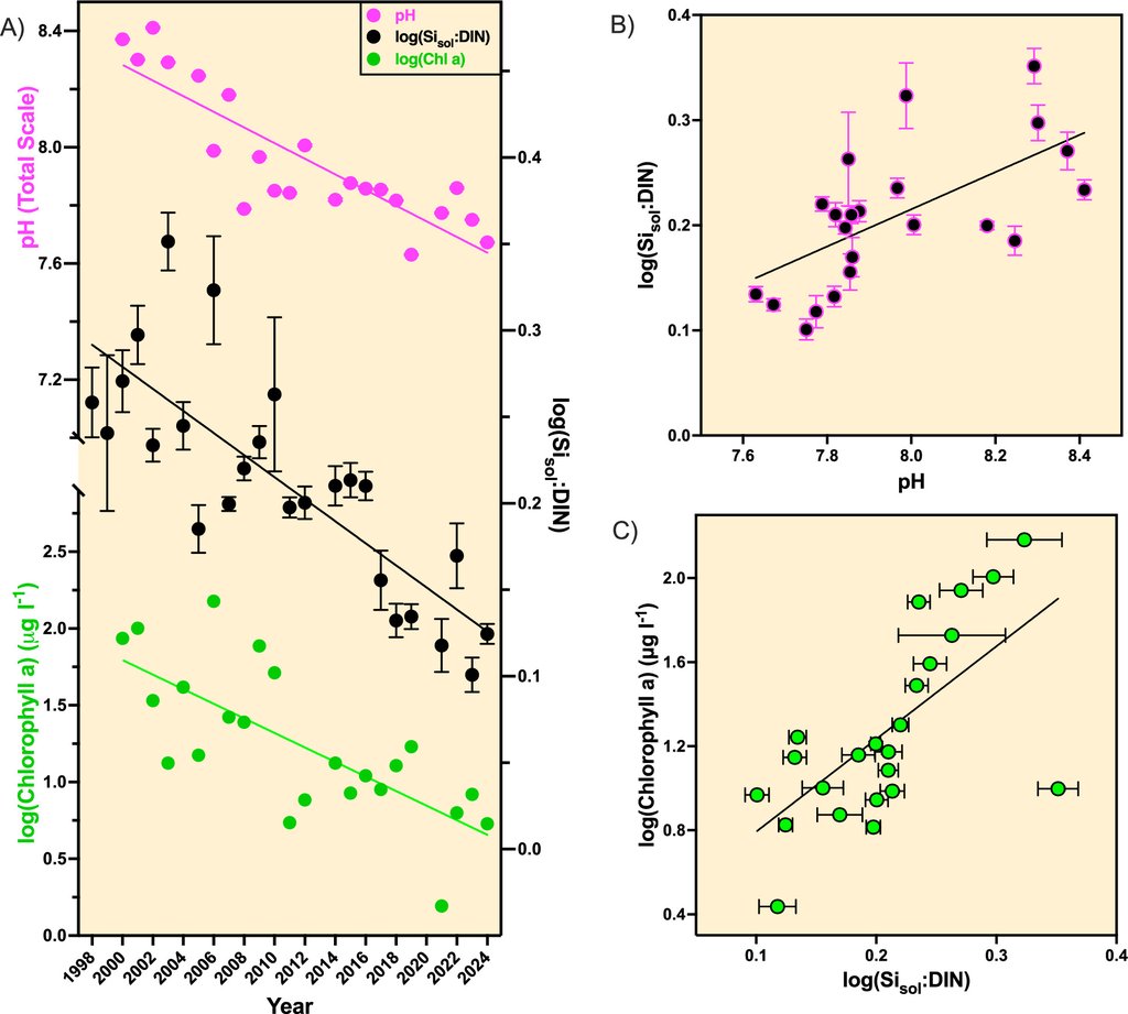 Scientific figure in five panels: a time series of pH, the dissolved silicon to nitrogen ratio and chlorophyll all declining across 24 years at Tatoosh Island, with two scatter plots showing pH against silicon to nitrogen and silicon to nitrogen against chlorophyll.