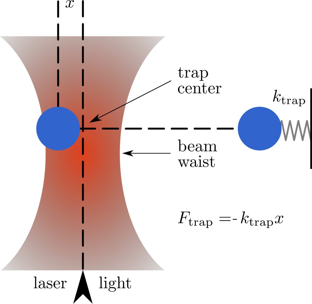 Diagram of an optical trap: a bead sits at the narrow waist of a focused laser beam, with an inset showing it pulled back toward the trap center like a mass on a spring.