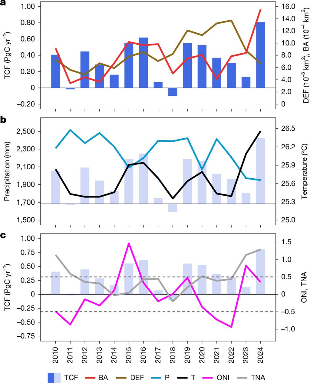 Multi-panel chart: blue bars of annual carbon flux above line plots of yearly deforestation area and burned area from 2010 to 2024.