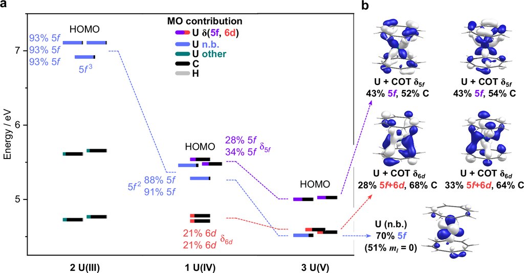 A molecular orbital energy diagram for three uranium complexes, beside blue isosurface renderings of their ring-bonding orbitals.