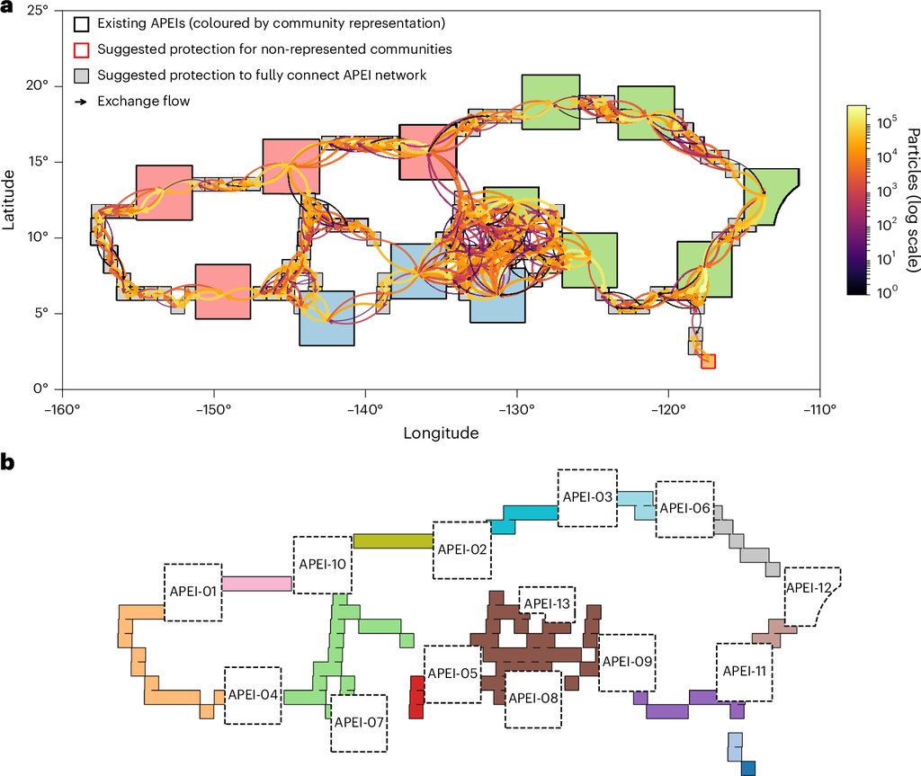 Top panel: a map of the Pacific nodule region with colored protected zones, gray proposed additions and orange arrows showing particle exchange. Bottom panel: the same zones redrawn as a connected network of labeled boxes.