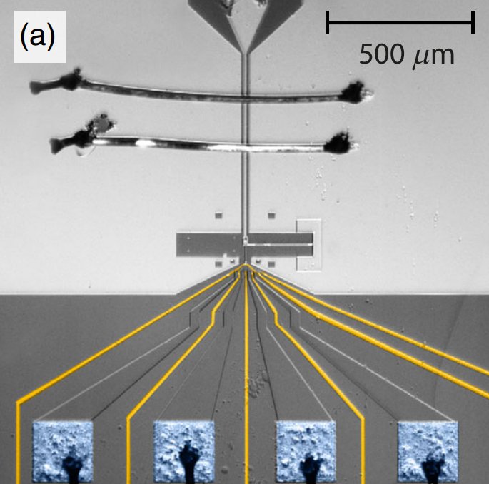 A micrograph of a chip, showing a long metal strip meeting a set of fine electrodes, with four inset close-ups of the gate pattern and a 500 micrometer scale bar.