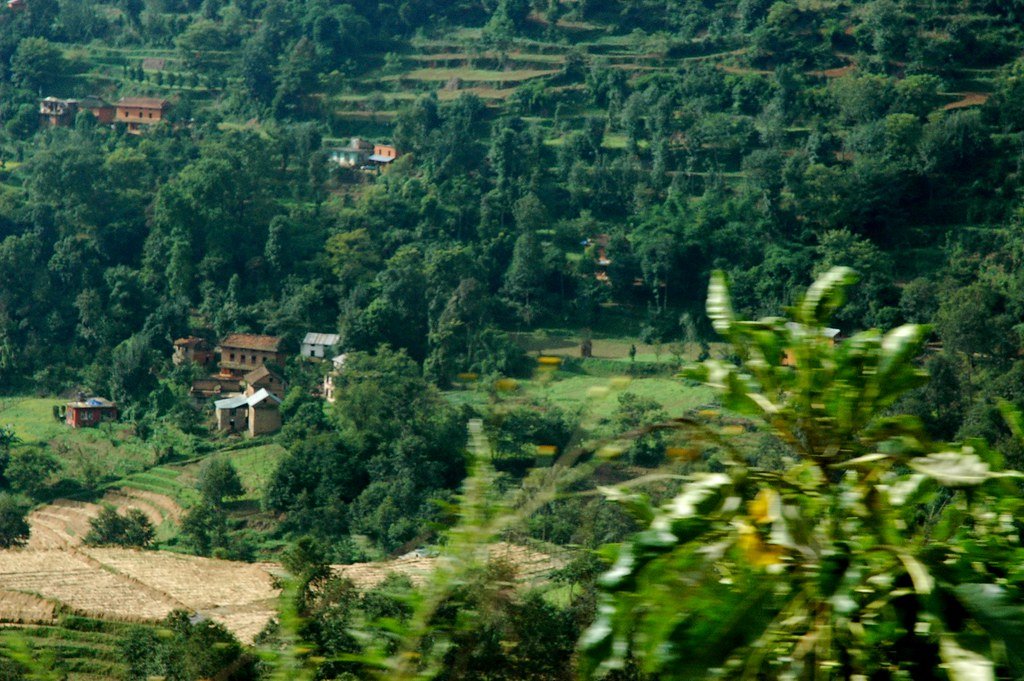 Scattered houses and cut terraces interleaved with dense green forest on a Himalayan hillside in Nepal.