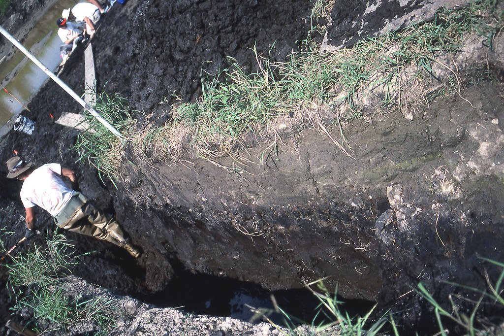 A cut bank of a drained bog in Ohio, showing a thick black layer of waterlogged peat under a thin skin of grass, with workers at the bottom.
