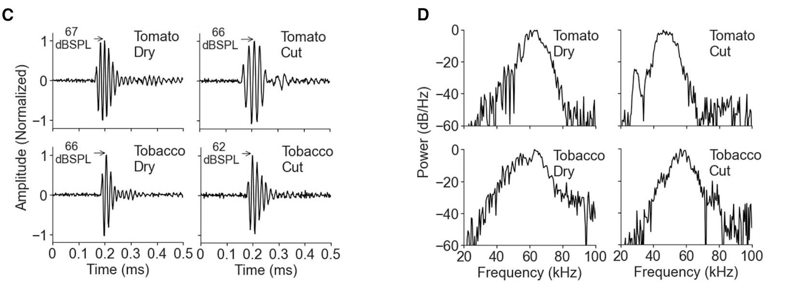 Plots of ultrasonic pulse amplitude over fractions of a millisecond beside plots of sound power across frequencies, for tomato and tobacco plants.