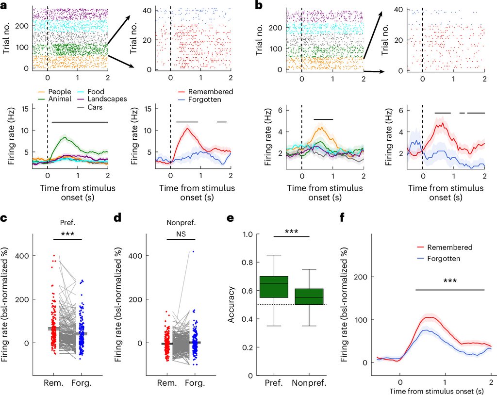 Figure panels showing firing rate curves and paired dot plots for amygdala neurons during picture viewing, comparing pictures later remembered with pictures later forgotten.