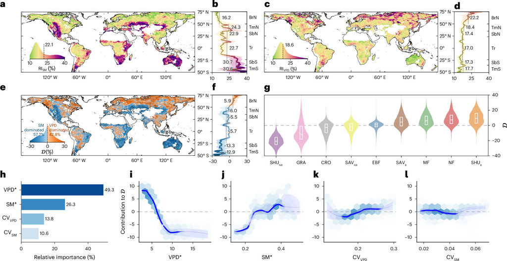Global maps and statistical panels comparing the relative importance of soil moisture and of vapor pressure deficit in controlling vegetation greenness, with latitude profiles and violin plots by ecosystem type.